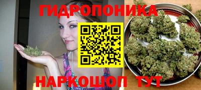 шишки Ирбит