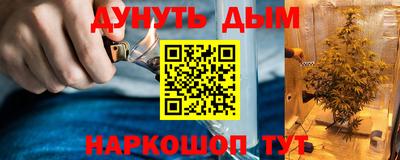 шишки Ирбит