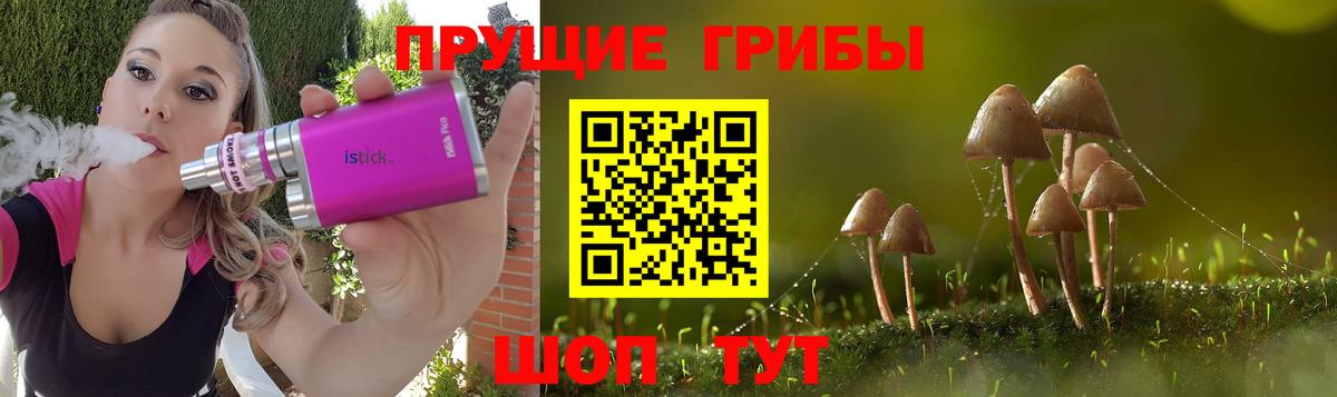 Псилоцибиновые грибы MAGIC MUSHROOMS  Галлюциногенные грибы Cubensis  Вход с VPN  Лениногорск 